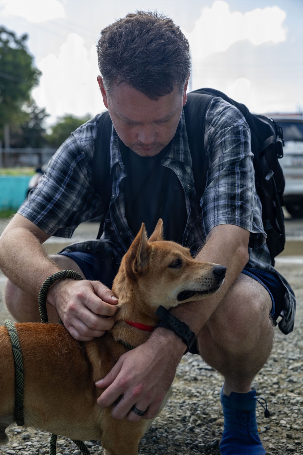 Iwo Jima Sailors Help Shelter Animals