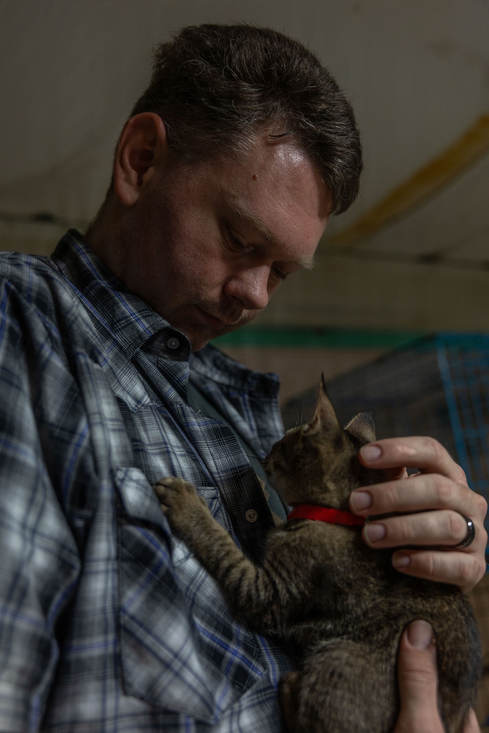 Iwo Jima Sailors Help Shelter Animals