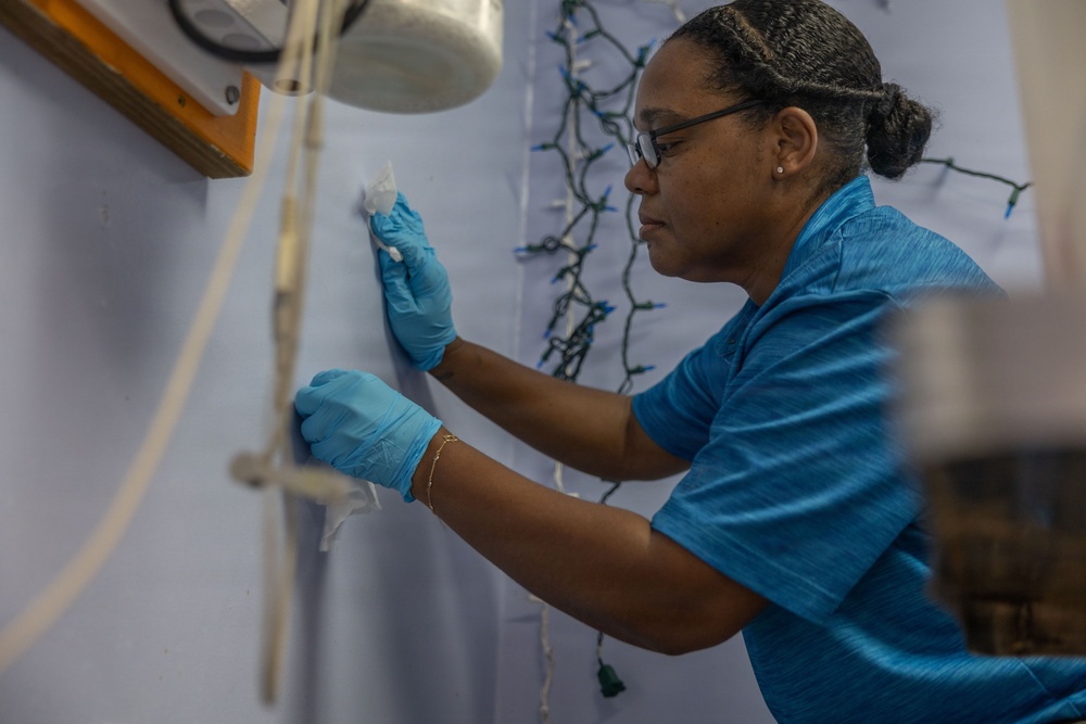 Iwo Jima Sailors Help Shelter Animals