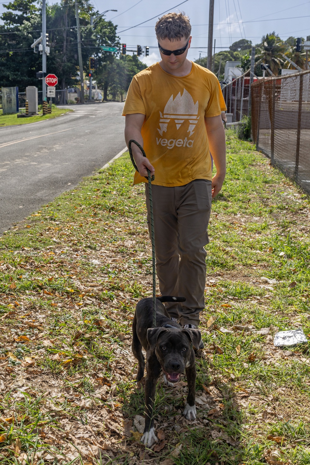 Iwo Jima Sailors Help Shelter Animals