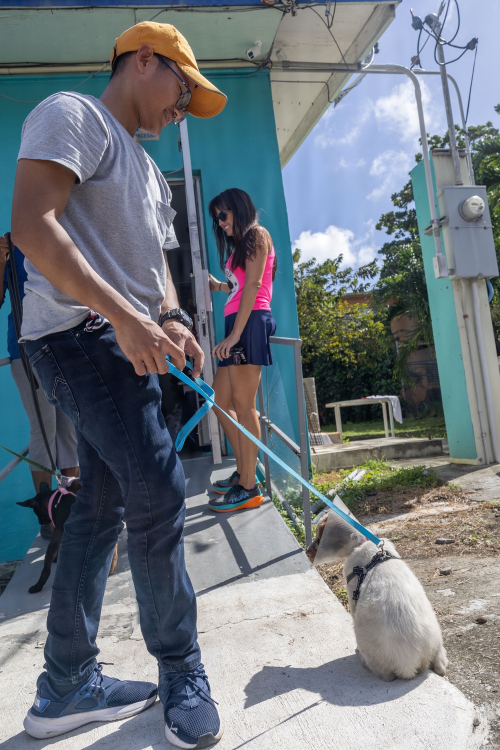 Iwo Jima Sailors Help Shelter Animals