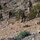 2nd Bn., 4th Marines participate in SLTE