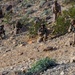 2nd Bn., 4th Marines participate in SLTE