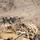 2nd Bn., 4th Marines participate in SLTE