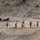 2nd Bn., 4th Marines participate in SLTE