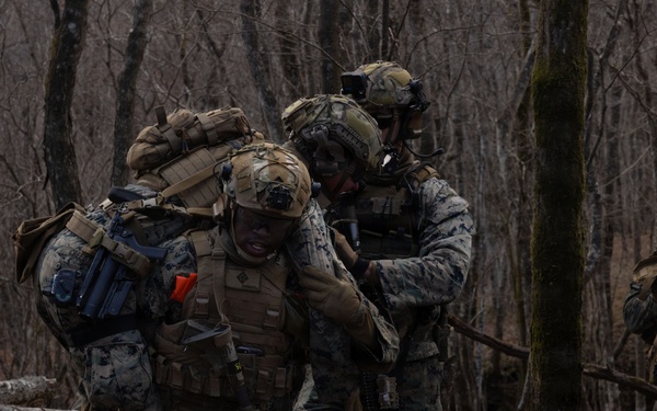 Fuji Viper 26.2 | V16 Casualty Evacuation