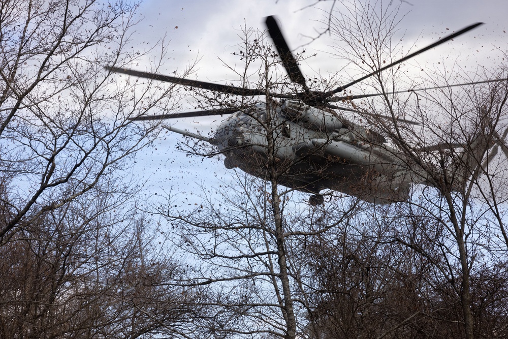 Fuji Viper 26.2 | V16 Casualty Evacuation