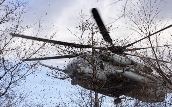 Fuji Viper 26.2 | V16 Casualty Evacuation