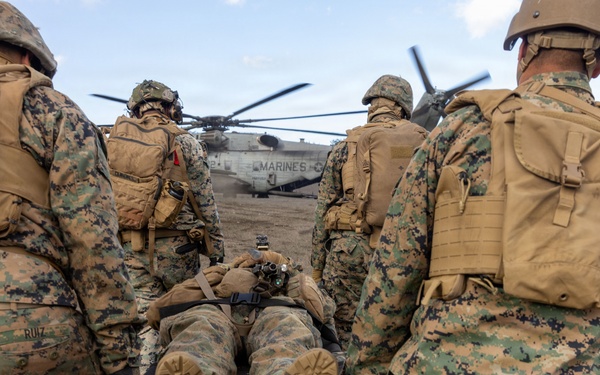 Fuji Viper 26.2 | V16 Casualty Evacuation