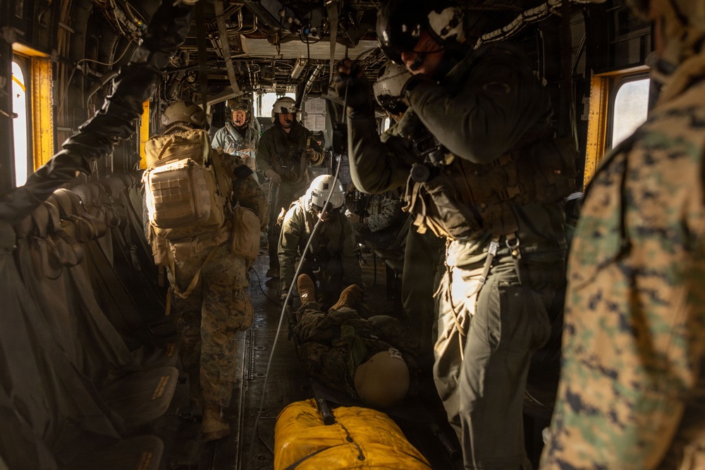 Fuji Viper 26.2 | V16 Casualty Evacuation