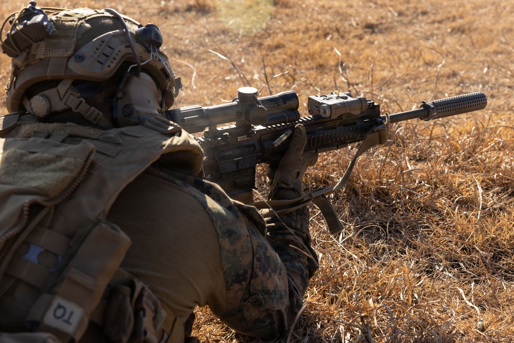 Fuji Viper 26.2 | V16 Squad Attacks