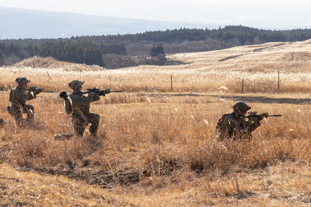 Fuji Viper 26.2 | V16 Squad Attacks