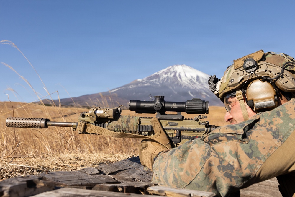 Fuji Viper 26.2 | V16 Squad Attacks