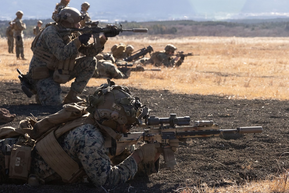 Fuji Viper 26.2 | V16 Squad Attacks