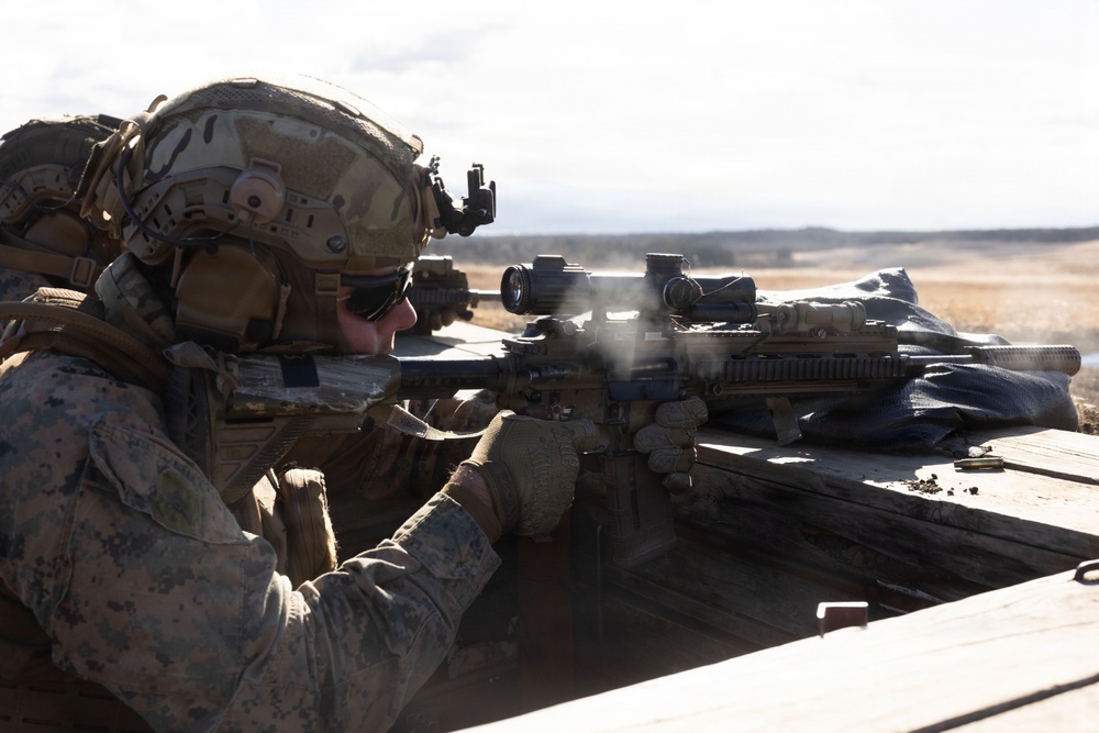 Fuji Viper 26.2 | V16 Squad Attacks