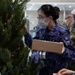 C7F and JMSDF Personnel Decorate a Tree