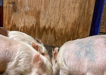 USAMRIID animal adoption program: Saving lives and building bonds