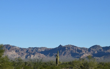 Pronghorn capture on Kofa National Wildlife Refuge aims to continue species recovery