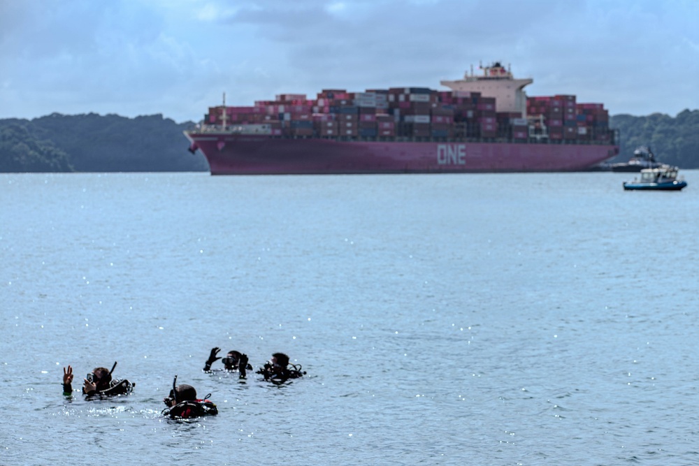 U.S. Navy and Panamanian services dive together during a Salvage Exercise