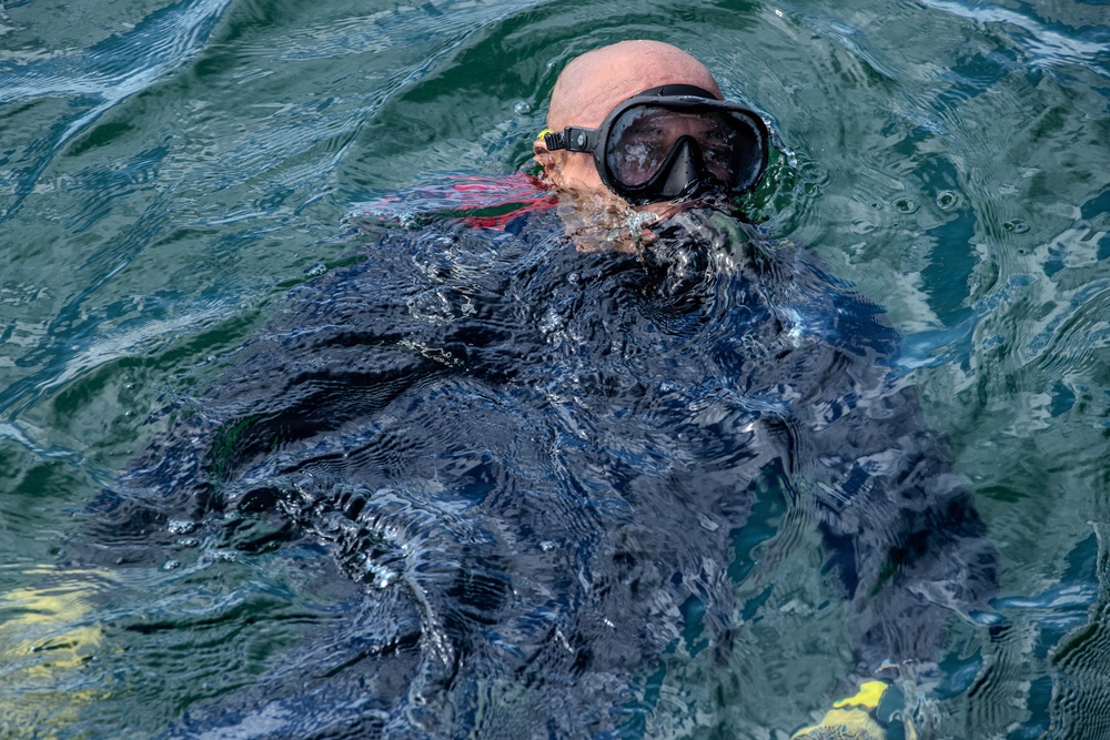 U.S. Navy and Panamanian services dive together during a Salvage Exercise