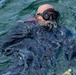 U.S. Navy and Panamanian services dive together during a Salvage Exercise