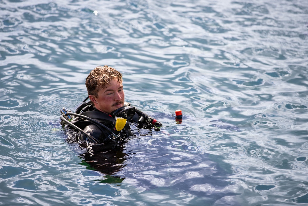 U.S. Navy and Panamanian services dive together during a Salvage Exercise