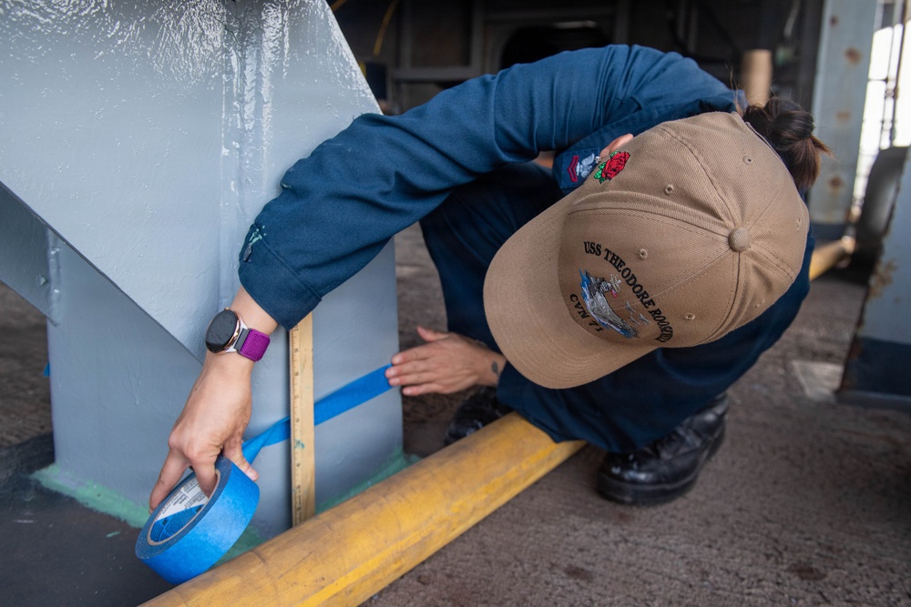 USS Theodore Roosevelt Preservation