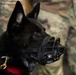 MWD Marco transitions to retirement