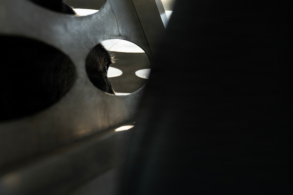 MWD Marco transitions to retirement