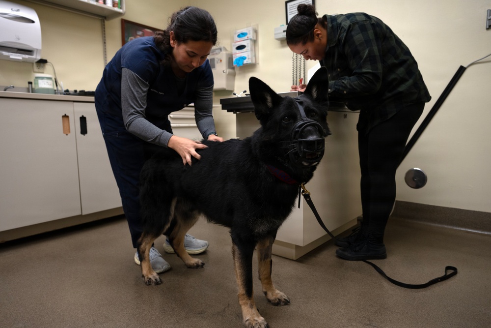 MWD Marco transitions to retirement