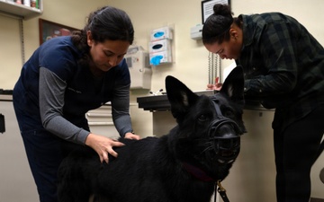 MWD Marco transitions to retirement