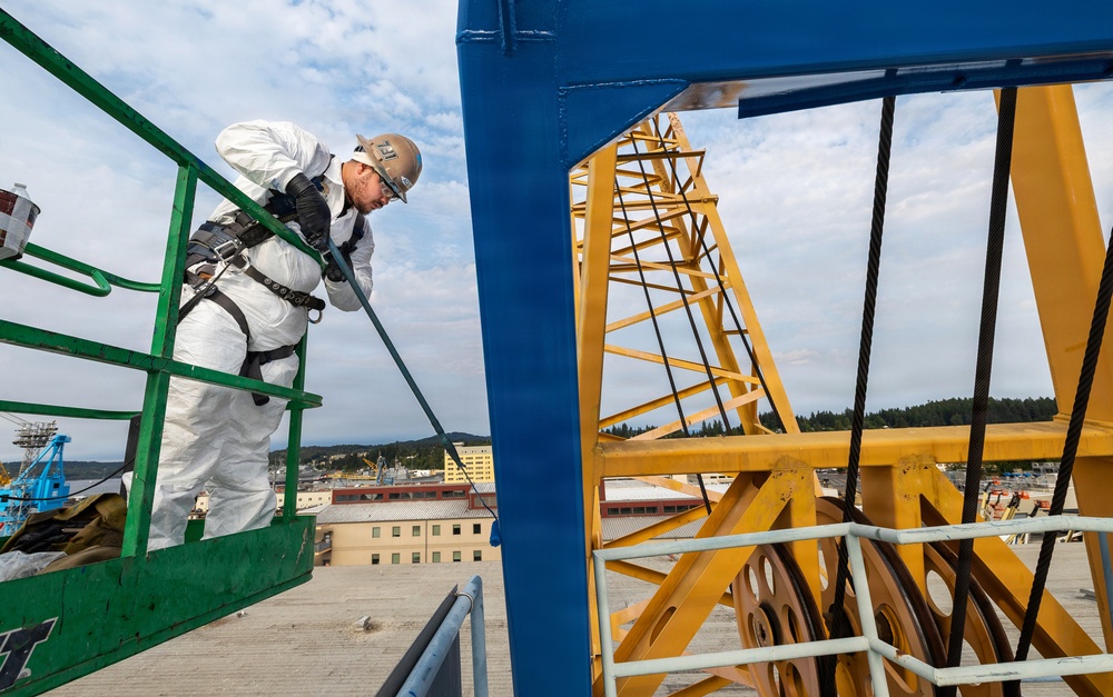 Painting Cranes 80 and 92