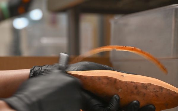 Davis-Monthan senior leaders serve Thanksgiving meal to service members, veterans, and their families