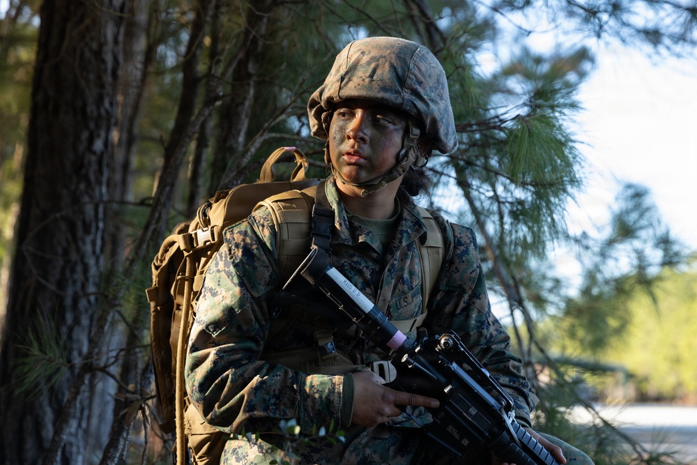 Mike Company Crucible