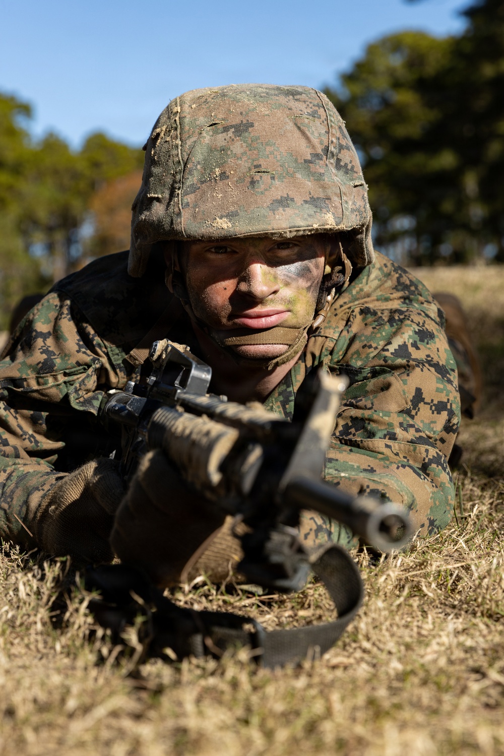 Mike Company Crucible