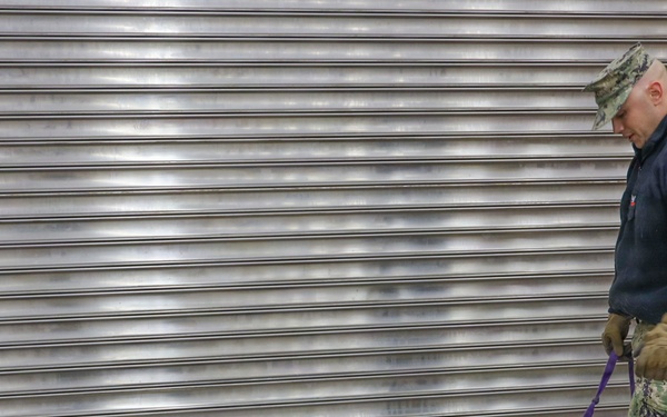 CFAY Security K9 Sweep