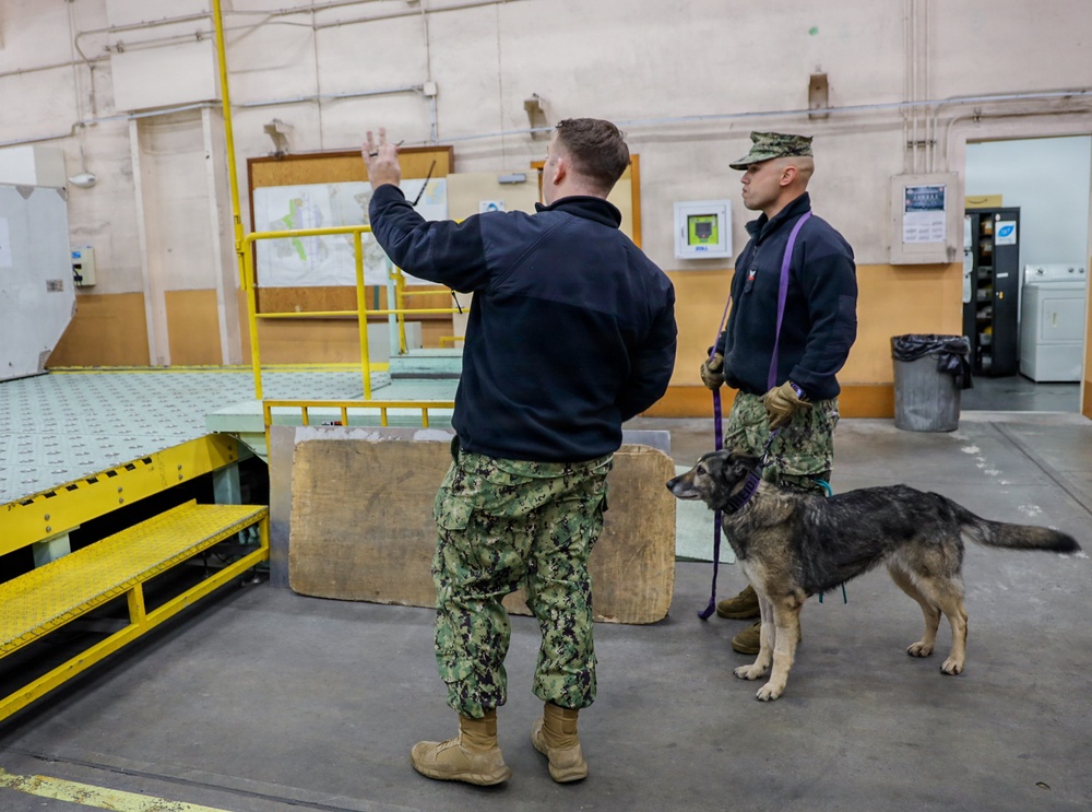 CFAY Security K9 Sweep