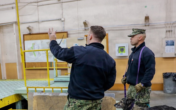 CFAY Security K9 Sweep