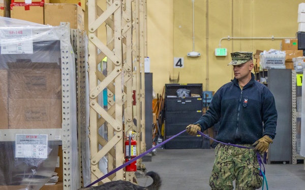 CFAY Security K9 Sweep