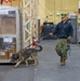 CFAY Security K9 Sweep