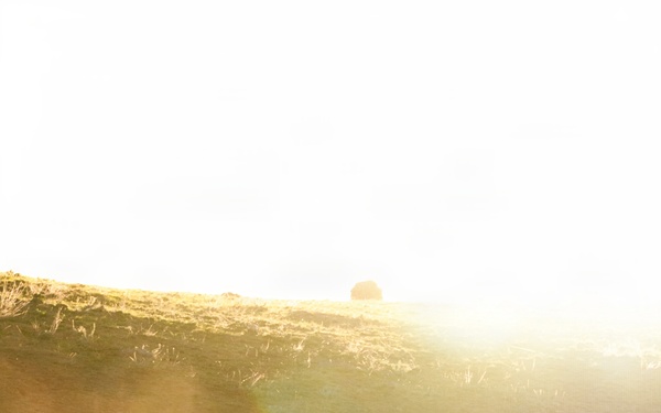 TF Ashland Marines, Sailors Prepare for Range 800 Live Fire and Maneuver Training