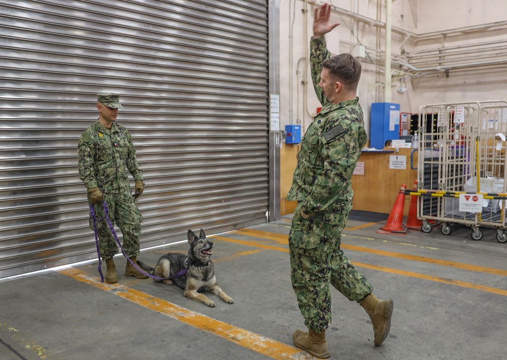 CFAY Security K9 Sweep