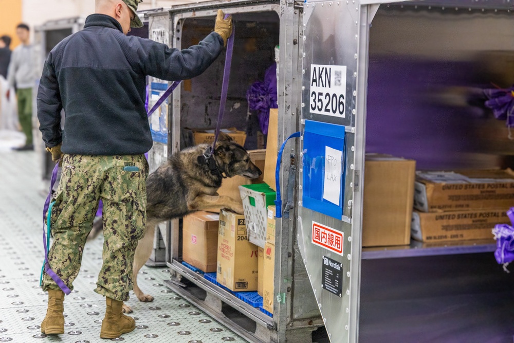 CFAY Security K9 Sweep