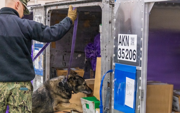 CFAY Security K9 Sweep