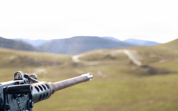 TF Ashland Marines, Sailors Conduct Range 800 Live Fire and Maneuver Training