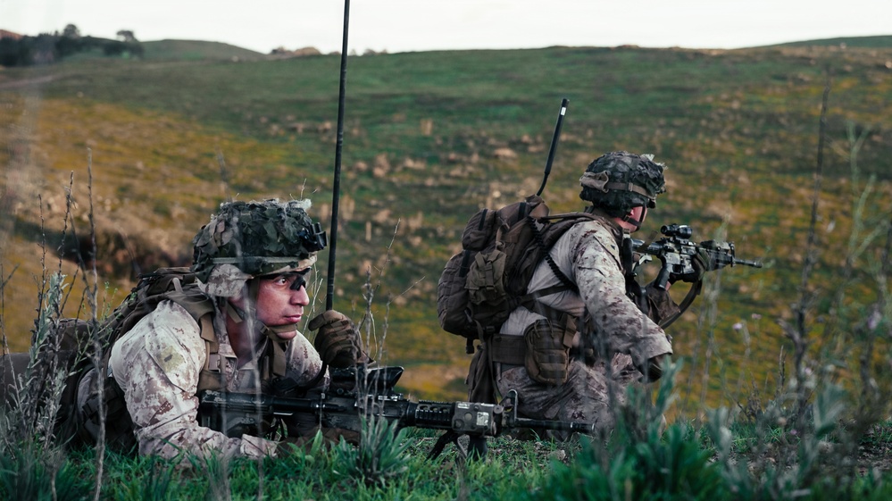 TF Ashland Marines, Sailors Conduct Range 800 Live Fire and Maneuver Training