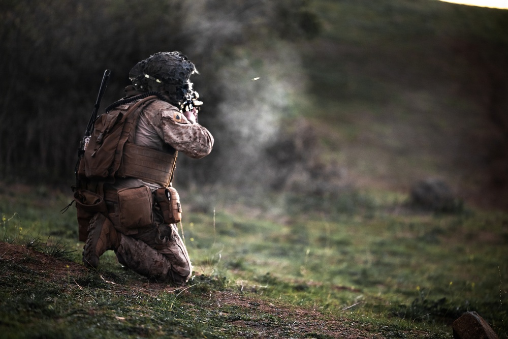 TF Ashland Marines, Sailors Conduct Range 800 Live Fire and Maneuver Training