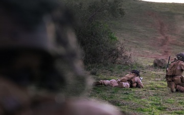 TF Ashland Marines, Sailors Conduct Range 800 Live Fire and Maneuver Training