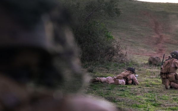 TF Ashland Marines, Sailors Conduct Range 800 Live Fire and Maneuver Training