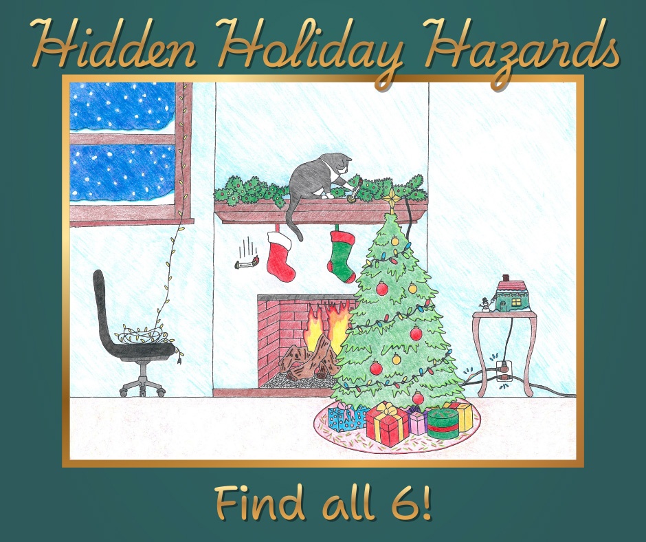 Holiday Safety Hazard Graphic